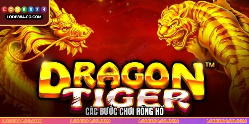 Các bước chơi rồng hổ