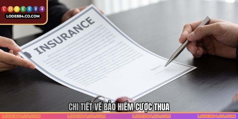 Chi tiết về Bảo hiểm cược thua