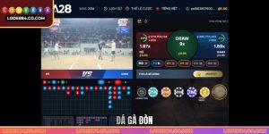 Đá Gà Đòn Lode88 - Luật Chơi Quan Trọng Cần Tìm Hiểu