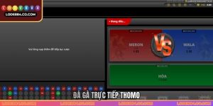 Đá Gà Trực Tiếp Thomo Lode88 - Cơ Hội Để Nhận Lãi Khủng