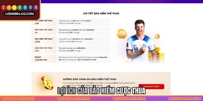 Lợi ích của Bảo hiểm cược thua