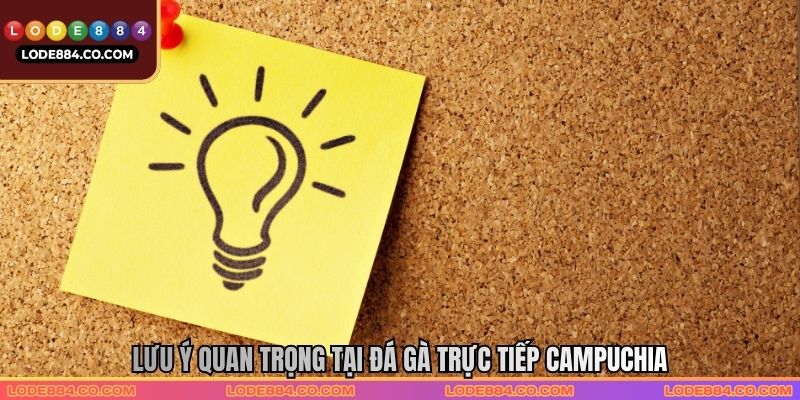 Lưu ý quan trọng tại Đá gà trực tiếp Campuchia