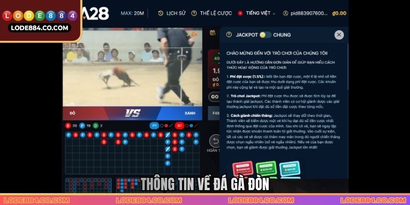 Thông tin về Đá gà đòn