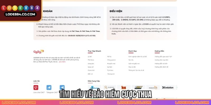 Tìm hiểu về Bảo hiểm cược thua