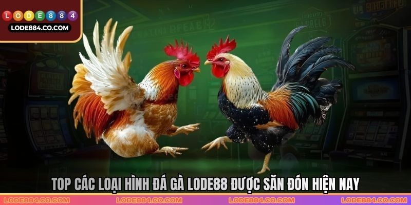 Top các loại hình đá gà Lode88 được săn đón hiện nay
